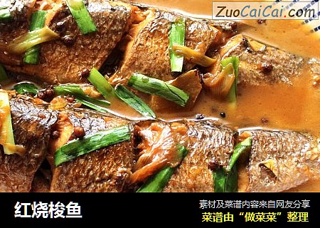 红烧梭鱼