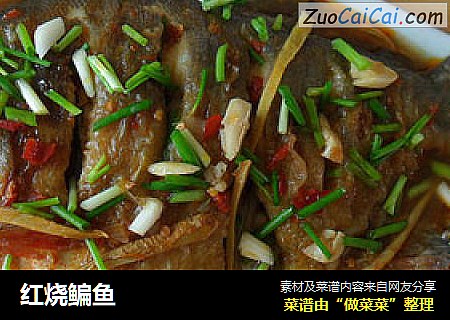 红烧鳊鱼