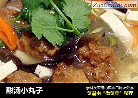 酸汤小丸子