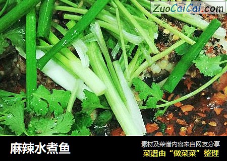 麻辣水煮鱼