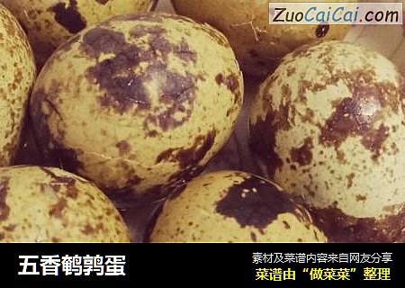 五香鹌鹑蛋