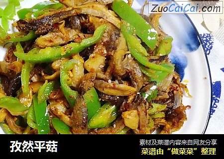 孜然平菇