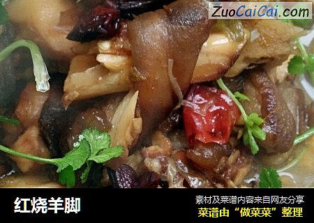 红烧羊脚