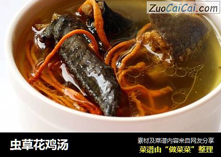 虫草花鸡汤