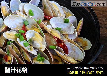 酱汁花蛤