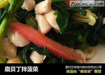 扇贝丁拌菠菜