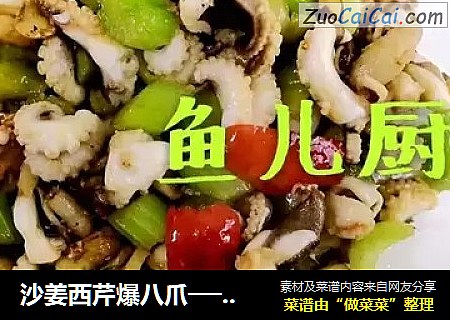 沙姜西芹爆八爪──“鱼儿厨房”私房菜
