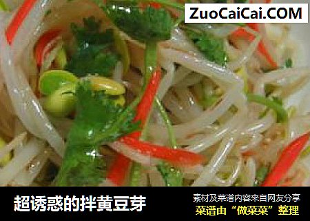 超诱惑的拌黄豆芽