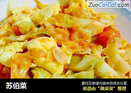 苏伯菜
