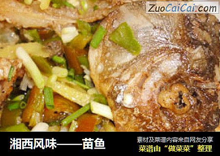 湘西风味——苗鱼
