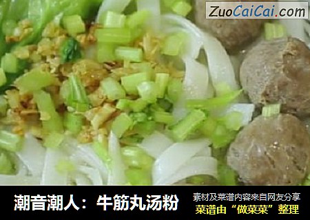 潮音潮人：牛筋丸汤粉