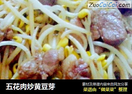 五花肉炒黄豆芽