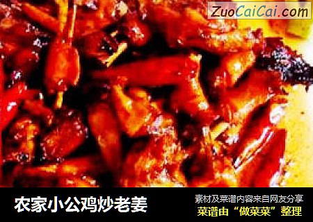 农家小公鸡炒老姜