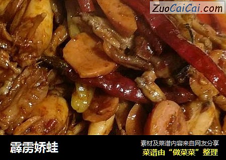 霹雳娇蛙
