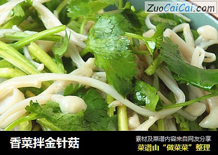 香菜拌金针菇