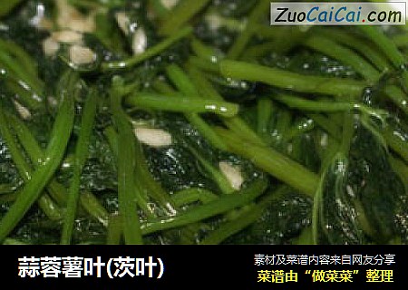 蒜蓉薯叶(茨叶)