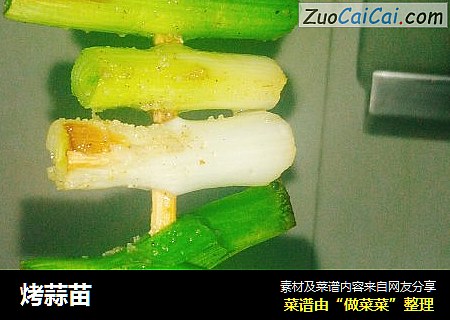 烤蒜苗