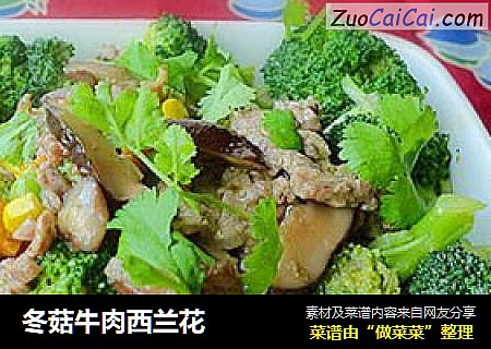 冬菇牛肉西兰花