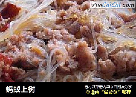蚂蚁上树