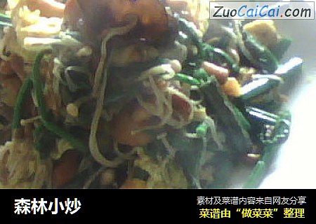 森林小炒
