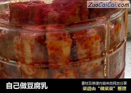 自己做豆腐乳