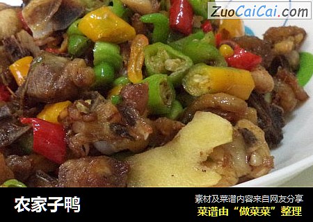 农家子鸭