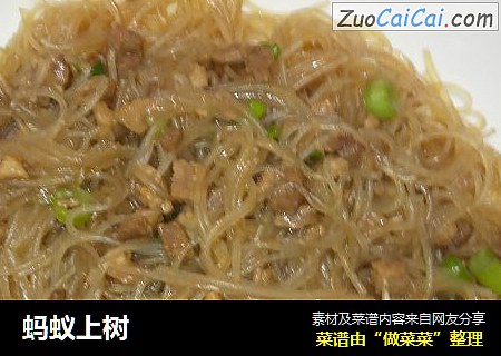 蚂蚁上树