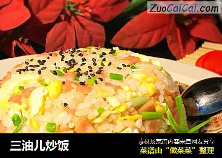 三油儿炒饭
