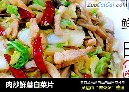 肉炒鲜蘑白菜片