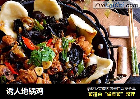 诱人地锅鸡