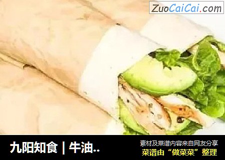 九阳知食 | 牛油果鸡肉春卷