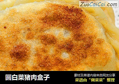 圆白菜猪肉盒子