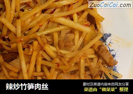 辣炒竹笋肉丝