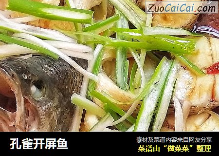 孔雀开屏鱼