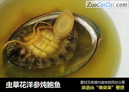 虫草花洋参炖鲍鱼