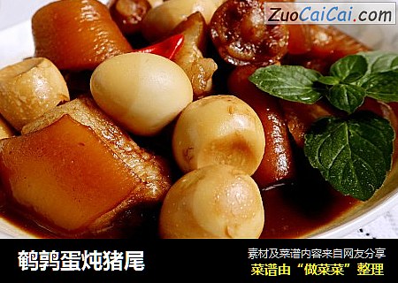 鹌鹑蛋炖猪尾