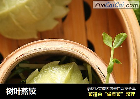 树叶蒸饺