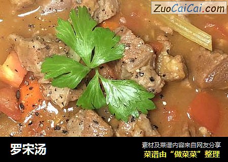 罗宋汤