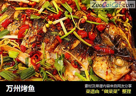 万州烤鱼