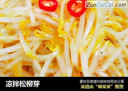 凉拌松柳芽