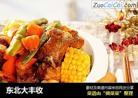 东北大丰收
