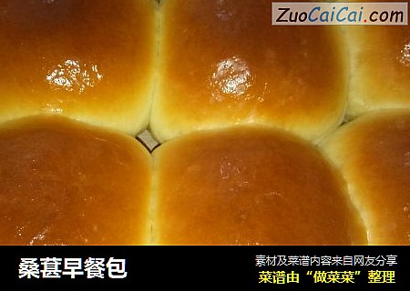 桑葚早餐包