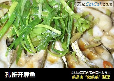 孔雀开屏鱼