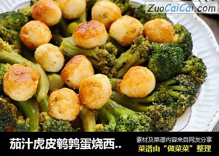 茄汁虎皮鹌鹑蛋烧西兰花