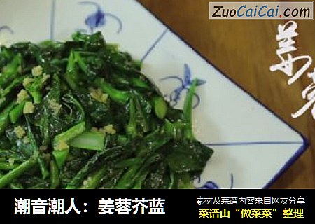 潮音潮人：姜蓉芥蓝