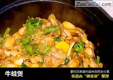 牛蛙煲