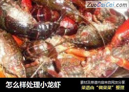 怎么样处理小龙虾