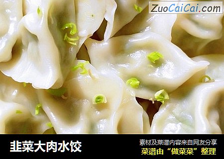 韭菜大肉水饺