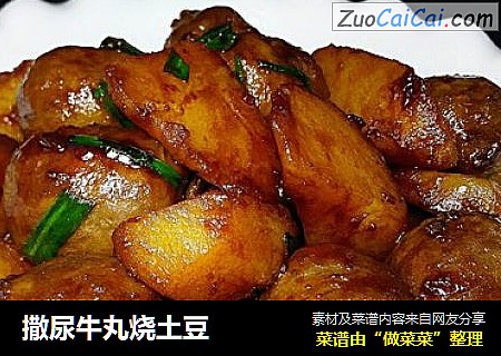 撒尿牛丸烧土豆