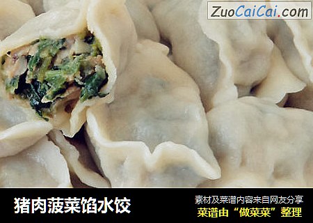 猪肉菠菜馅水饺
